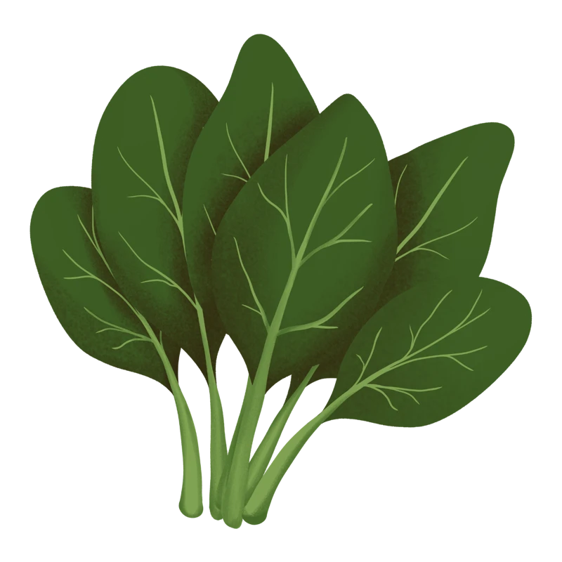 Lutein